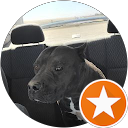 Julian Vasquez profile picture